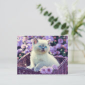 Blue Eyed Kitten Cat in mandje Lila bloemen Briefkaart (Staand voorkant)