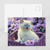 Blue Eyed Kitten Cat in mandje Lila bloemen Briefkaart (Voorkant / Achterkant)