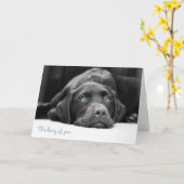 Blue Eyed Labrador Black en White Photo Cards Kaart (Gele Bloem)