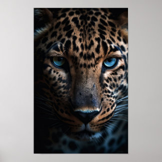 Blue Eyed Leopard Poster