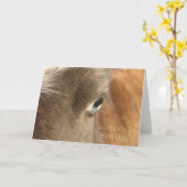 Blue Eyed Mini Filly, Birthday Kaart (Gele Bloem)