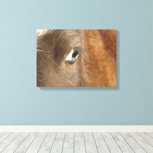 Blue Eyed Mini Filly Canvas Afdruk (Insitu (Houten vloer))