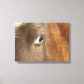 Blue Eyed Mini Filly Canvas Afdruk (Voorkant)