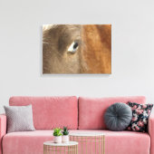 Blue Eyed Mini Filly Canvas Afdruk (Insitu (Woonkamer))