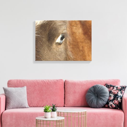 Blue Eyed Mini Filly Canvas Afdruk (Insitu (Woonkamer))