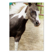 Blue Eyed Mini in de klasse Vrijheid (Voorkant)