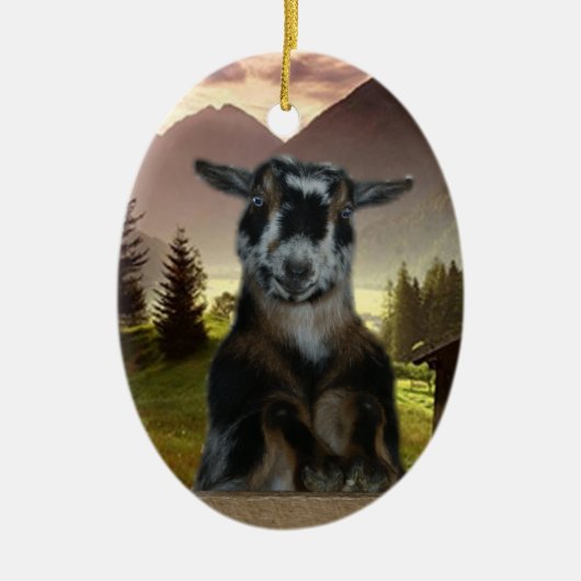 BLUE EYED NIGERIAN DWARF CHRISTMAS ORNAMENT (Voorkant)