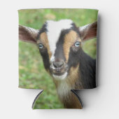 Blue Eyed Nigerien Dwarf Dairy Goat Blikjeskoeler (Voorkant)