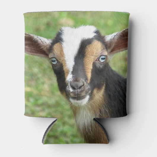 Blue Eyed Nigerien Dwarf Dairy Goat Blikjeskoeler (Voorkant)