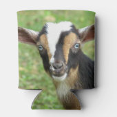 Blue Eyed Nigerien Dwarf Dairy Goat Blikjeskoeler (Achterkant)