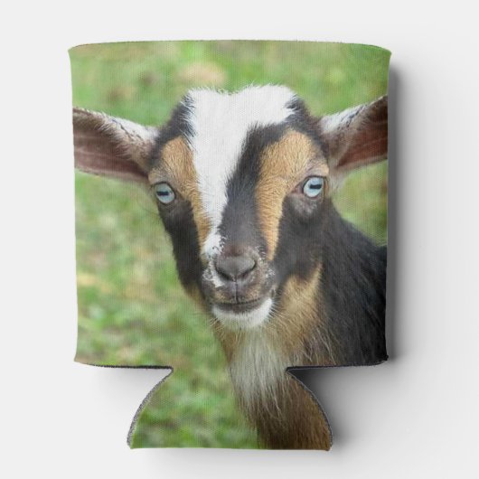 Blue Eyed Nigerien Dwarf Dairy Goat Blikjeskoeler (Achterkant)