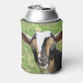 Blue Eyed Nigerien Dwarf Dairy Goat Blikjeskoeler (Blikje Achterkant)