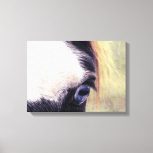 Blue Eyed Paint Horse Canvas Afdruk