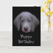 Blue-Eyed Puppy Verjaardag Kaart (Gele Bloem)