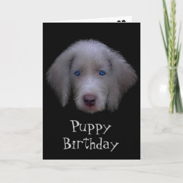 Blue-Eyed Puppy Verjaardag Kaart