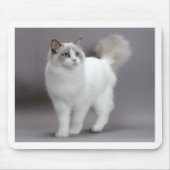 Blue-Eyed Ragdoll Cat Purfection Muismat (Voorkant)