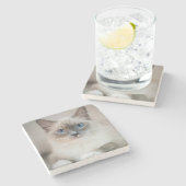 Blue Eyed Ragdoll Cat Stenen Onderzetter (Zijkant)
