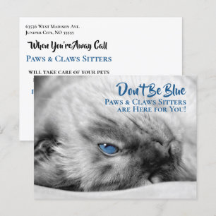 Blue Eyed Siamese Pet Sitter's Custom Briefkaart