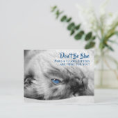 Blue Eyed Siamese Pet Sitter's Custom Briefkaart (Staand voorkant)