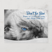 Blue Eyed Siamese Pet Sitter's Custom Briefkaart (Voorkant)