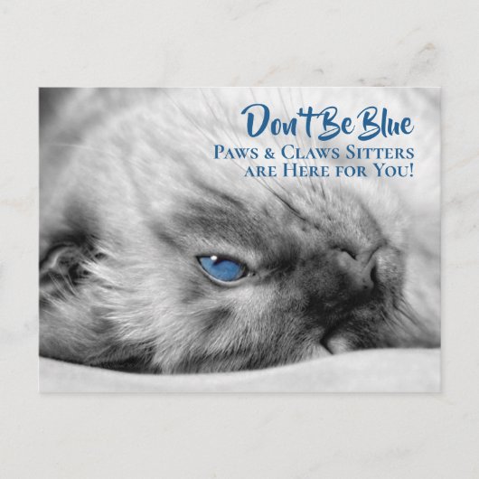 Blue Eyed Siamese Pet Sitter's Custom Briefkaart (Voorkant)