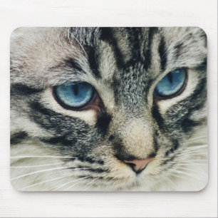 Blue-Eyed Tabby Cat Close-up Muismat