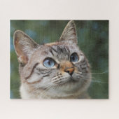 Blue Eyed Tabby Cat Jigzaag Puzzle Legpuzzel (Horizontaal)