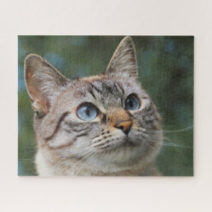 Blue Eyed Tabby Cat Jigzaag Puzzle Legpuzzel