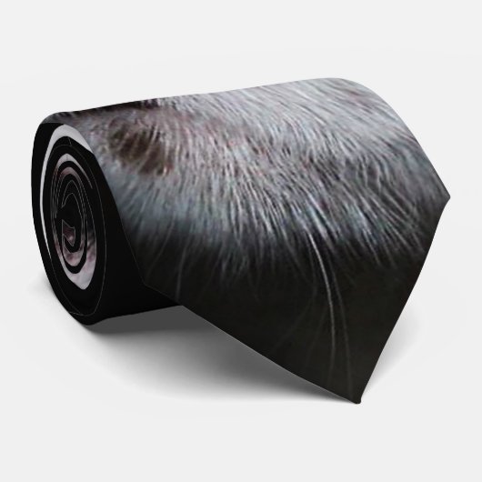 Blue Eyed Tuxedo Cat Stropdas (Opgerold)