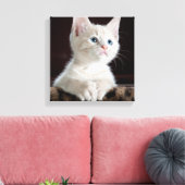 Blue Eyed White Kitten Canvas Afdruk (Insitu (Woonkamer))