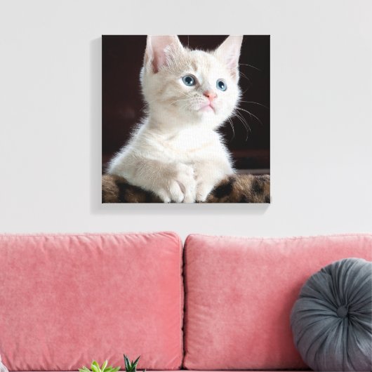 Blue Eyed White Kitten Canvas Afdruk (Insitu (Woonkamer))