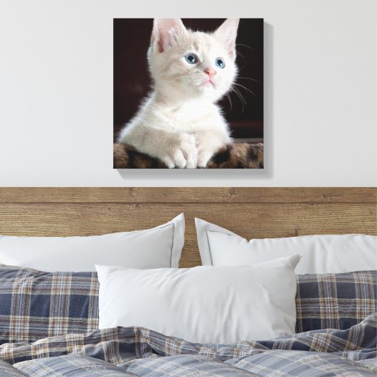 Blue Eyed White Kitten Canvas Afdruk (Insitu (Slaapkamer))