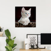Blue Eyed White Kitten Poster (Thuiskantoor)