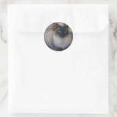 Blue Eyes Kat Collectie Ronde Sticker (Tas)