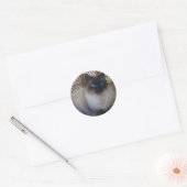 Blue Eyes Kat Collectie Ronde Sticker (Envelop)