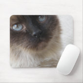 Blue Eye's Kat Mousepad Muismat (Met muis)