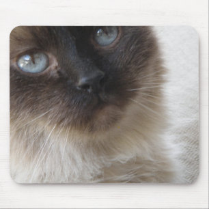 Blue Eye's Kat Mousepad Muismat