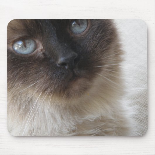 Blue Eye's Kat Mousepad Muismat (Voorkant)