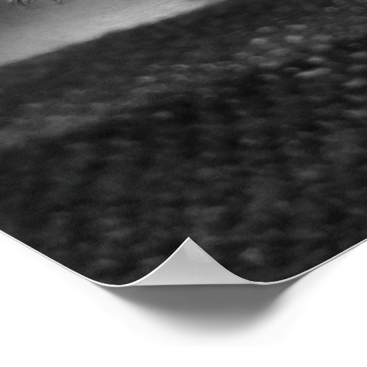 Blue eyes-weergave poster (Hoek)