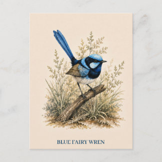 Blue Fairy Wren-ansichtkaart | Bush-editie Briefkaart