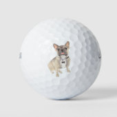 Blue Fawn Frenchie French Bulldog Golfballen (Voorkant)