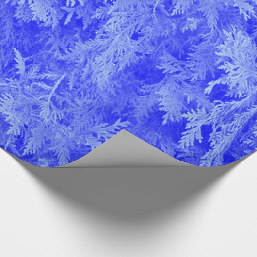 Blue Fir Cadeaupapier (Hoek)