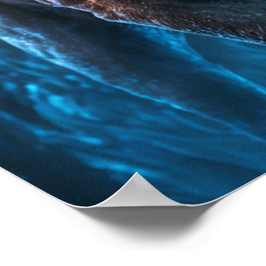 Blue Fire Lion Poster (Hoek)