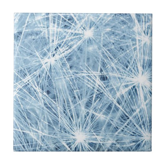 Blue Fireworks Daisy! Tegeltje (Voorkant)