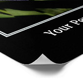 Blue Flag Iris Creëer Uw eigen prijsopgave Poster (Hoek)