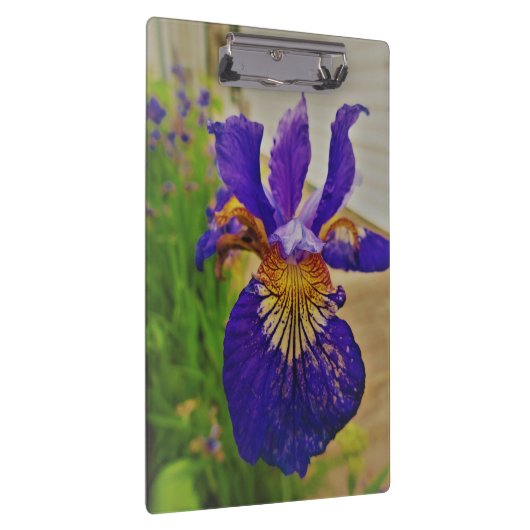 Blue Flag Iris Fleur de Lys French Canada Quebec Klembord (Rechts)