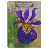 Blue Flag Iris Fleur de Lys French Canada Quebec Klembord (Voorkant)