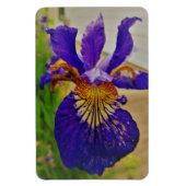 Blue Flag Iris Fleur de Lys French Canada Quebec Magneet (Verticaal)