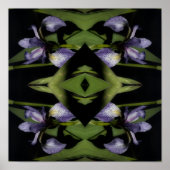 Blue Flag Iris Flower Abstract Poster (Voorkant)
