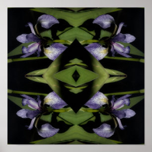 Blue Flag Iris Flower Abstract Poster